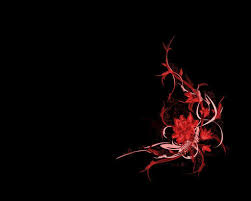 1920x1080 red black flower wallpaper. Red Flower Black Backgrounds Wallpaper Cave
