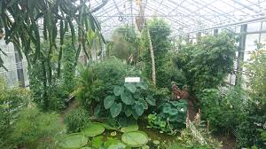 Nehmen sie sich am besten zu anfang etwas zeit und schreiben sie alles, was ihnen in den kopf kommt, auf. Botanischer Garten St Gallen Wikipedia