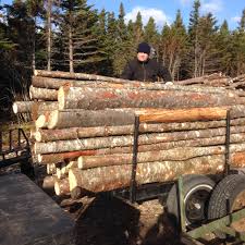 1 2 Cord Fire Wood Wood Firewood Fire