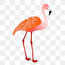Flamingo Animal Illustration Watercolor Animal Long Legs Hand Painted Cartoon Pink Flamingo Decorative Illustration Png Transparent Clipart Image And Psd Fil Animal Illustration Watercolor Animals Flamingo