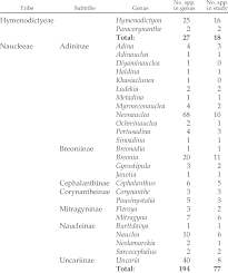 Image result for Hymenodictyon parvifolium