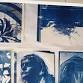 Introduction to Cyanotypes with Elsie Garner