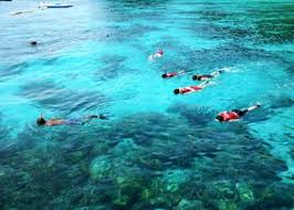 The best time to indulge in snorkeling is from the month of november to march. Langkawi Snorkeling Tour