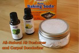 Let it soak for a minute and then scrub it with a toilet brush. All Natural Home Air Freshener And Carpet Deodorizer
