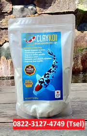 Jakarta barat toko bangunan 88. 0822 3127 4749 Tsel Media Penjernih Air Kolam Koi Claykoi Mineral Untuk Kolam Ikan Claykoi Obat Penjernih Air Kolam Ikan Koi Claykoi 62 822 3127 4749 Tsel Distributor Clay Koi Premium