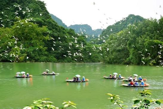 Tour Thung Nham Giá Rẻ Review Kinh Nghiệm Du Lịch 2026 - Tour.Pro.Vn