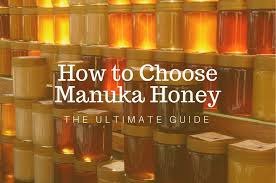 how to choose manuka honey the ultimate guide manuka me