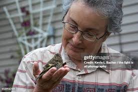 56 Patrina Stock Photos, High-Res Pictures, and Images