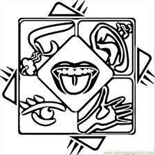 Download and print these five sense for kids coloring pages for free. 5 Senses Coloring Page For Kids Free Body Printable Coloring Pages Online For Kids Coloringpages101 Com Coloring Pages For Kids
