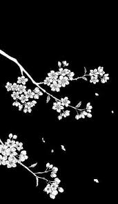 Image of acca 13 animated gif 5042824 by tschissl on favim com. Flower Black And White Wallpaper
