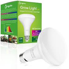 5 out of 5 stars. Top 10 Best Led Grow Light Bulbs 2021 Reviews