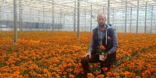 Check spelling or type a new query. Flower Growers See Sales Wither As Planting Season Launches Ctv News