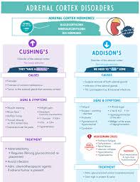 Image result for Cushing Response