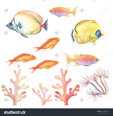 Set Colorful Tropical Fish On White 스톡 일러스트 1392838172