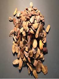 Image result for Pentadiplandra brazzeana