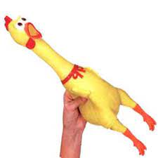 Chicken Know Your Meme