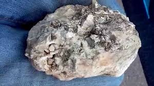 Mcwhorter's decades of research are evident in the massive collection of documentation, photographs, books, and artifacts that were donated upon his death to wsu. Ancient Stoaner Rock Found In Washington State Youtube