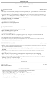 kyc analyst resume example best