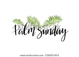 Please remember to share this palm sunday images with your friends if you like. Free Pictures Of Palms Trees Palm Sunday Clipart Black And White Stunning Free Transparent Png Clipart Images Free Download