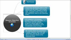 resume objective examples a pro career