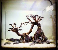 Bonsai kali ini untuk ukuran tank panjang :40cm tinggi :30cm lebar :25cm bahan yang digunakan.pohon senggani.batu pasir/sandstone.javamoss bahan.lem alteco/korea.tissue semoga menjadi inspirasi buat kalian jangan lupa subscribe ya bro. Aquascape Ukuran 40 X 20 Jual Dekoran Aquascape Ukuran 70 X 40 X 40 Cm Full Set Jakarta Barat Qianzi Fish Shop Tokopedia Aquascape 20x20x25 Pas Buat Di Kamar R Oyalty