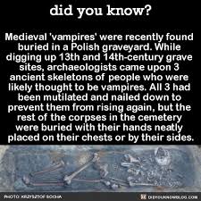 Did You Know Funny Facts Creepy Facts Wtf Fun Facts