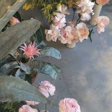 Icons Kpop Flower Aesthetic Pretty Flowers Flowers