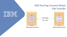 IBM Sterling Connect Direct File Transfer | IBM Gold Business ...