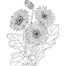 Flores Para Colorear Dibujos Flores Para Colorear Imprimir Dibujos Para Colorear Margaritas Dibujo Dibujos Dibujos Flores Para Colorear
