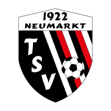 Peter michorl 4 goals, thomas goiginger 4 goals, mamoudou karamoko 3 goals, rene renner 2 goals, alexander schmidt 2 goals, husein balic 2 goals, florian flecker 1. Lask Linz Logo Vector Free Download Brandslogo Net