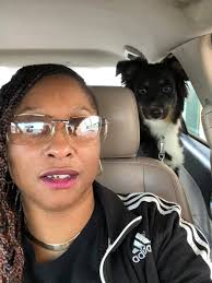 Lost dog returns home safely in Hood County