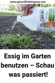 Essig Im Garten Benutzen Schau Was Passiert Gemusebeetanlegen Nutzgartenanlegen Planting Vegetables Potted Plants Patio Ideas Garden Plants Vegetable