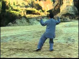 Pin On Tai Chi Chen Style