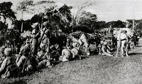 Indian Contribution to the Great War ...