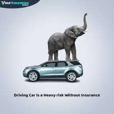 We make sure you understand what you're paying for, and that your policy meets your personal needs. Get The Best Car Quote And Drive Hassle Free With Us Insurance Car Carinsurance Best Opportuni Cheap Car Insurance Auto Insurance Quotes Super Cars