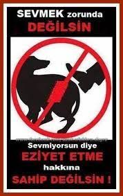 Ansey Bu Butun Canlilar Icin Gecerli Sevmiyorsan Zulmetme Hayvan Hayvanlar Mercan
