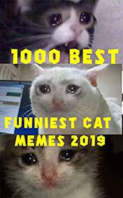 1000 Best Funniest Cat Memes 2019 These Cat Memes Clean Cat Memes For Kids Are The Best In Social Media By Web Academy School