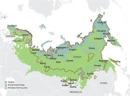 We did not find results for: Frontiers The Shrinking Resource Base Of Pastoralism Saami Reindeer Husbandry In A Climate Of Change Sustainable Food Systems