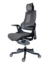 Raynor Eurotech Wau Chair With Headrest Executive Chair Chair Headrest