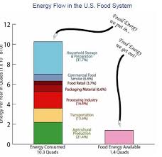 Food Energy Energy Foods Energy Energy Flow