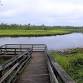 Trail Workday at Cumberland Marsh Preserve