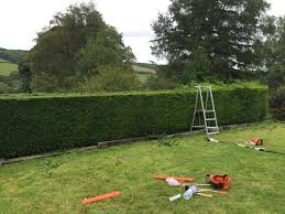 Auckland gardening ltd is a new zealand owned and operated company providing residential and commercial lawn mowing and gardening services through out auckland. Increase Your Lawn Mowing Business Revenue In 2021
