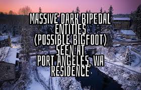 It really does not snow there hardly ever. Massive Dark Bipedal Entities Possible Bigfoot Seen At Port Angeles Wa Residence Flipboard