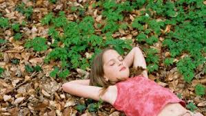 However, it is very important to avoid cross containing other clothing in the process. Poison Oak Ivy And Sumac Diagnosis Treatment And Prevention
