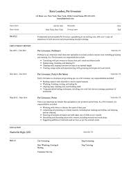 Contoh Resume Video Youtube Combination Resume Tips And Examples Indeed Com