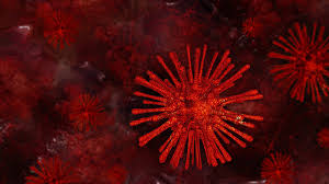 Despre aceasta minune a naturii am mai vorbit si cu alte ocazii in. Mirea De Manuka Tratament Coronavirus Miere De Manuka