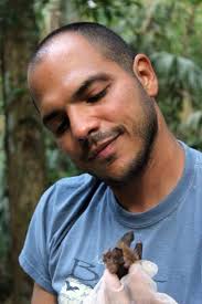 Climate, human effects, and the collapse of Caribbean bat biodiversity.