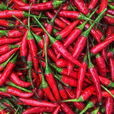 Maybe you would like to learn more about one of these? Kejora Fresh Red Thai Chili Peppers 1 Lb 16 Oz Amazon Com Grocery Gourmet Food