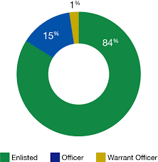 Veterans Energy Pipeline