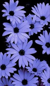 Check out our periwinkle wallpaper selection for the very best in unique or custom, handmade pieces from our wallpaper shops. 31 Periwinkle Aesthetic Ideas Periwinkle Periwinkle Aesthetic Blue Aesthetic